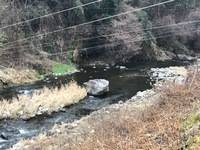 秩父フライフィールド 釣果