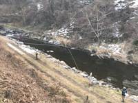 秩父フライフィールド 釣果