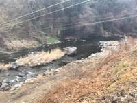 秩父フライフィールド 釣果