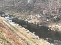 秩父フライフィールド 釣果