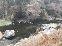 秩父フライフィールド 釣果