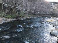 秩父フライフィールド 釣果