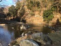 秩父フライフィールド 釣果