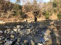 秩父フライフィールド 釣果