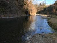 秩父フライフィールド 釣果