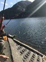 秩父フライフィールド 釣果