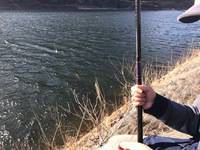 秩父フライフィールド 釣果