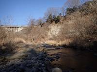 秩父フライフィールド 釣果