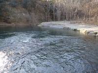 秩父フライフィールド 釣果