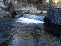 秩父フライフィールド 釣果