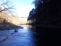 秩父フライフィールド 釣果