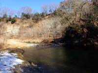 秩父フライフィールド 釣果