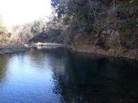 秩父フライフィールド 釣果