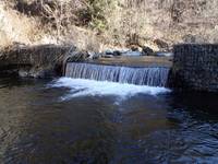 秩父フライフィールド 釣果