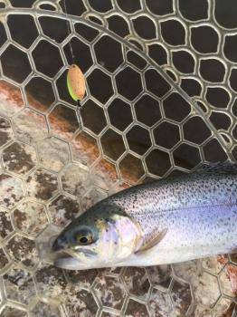 フィッシング サンクチュアリ 釣果