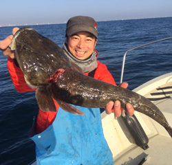 Rush(ラッシュ) 釣果