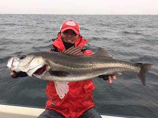 Ｒｕｓｈ（ラッシュ） 釣果