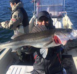 Ｒｕｓｈ（ラッシュ） 釣果