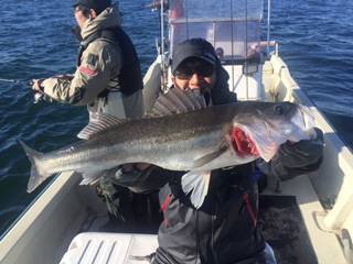 Ｒｕｓｈ（ラッシュ） 釣果