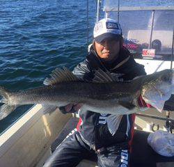 Ｒｕｓｈ（ラッシュ） 釣果