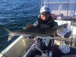 Ｒｕｓｈ（ラッシュ） 釣果