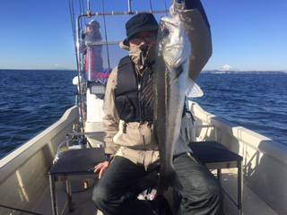 Ｒｕｓｈ（ラッシュ） 釣果