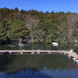 フィッシング サンクチュアリ 釣果