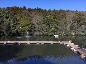 フィッシング サンクチュアリ 釣果