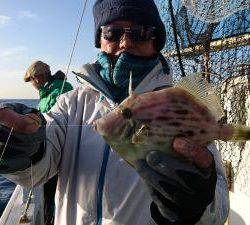 かねい丸 釣果