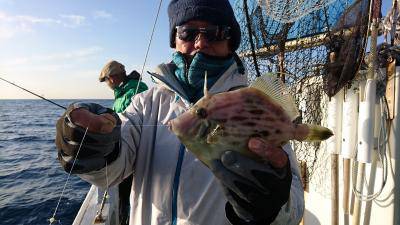 かねい丸 釣果