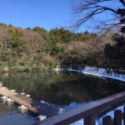 フィッシング サンクチュアリ 釣果