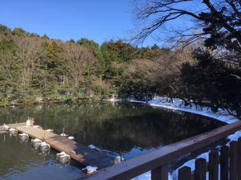 フィッシング サンクチュアリ 釣果