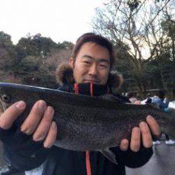 フィッシング サンクチュアリ 釣果