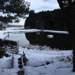 フィッシング サンクチュアリ 釣果