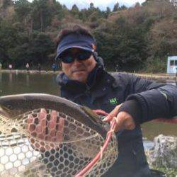 フィッシング サンクチュアリ 釣果