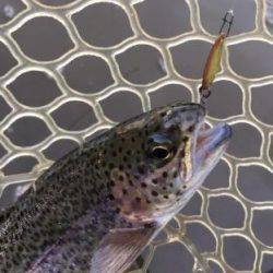 フィッシング サンクチュアリ 釣果