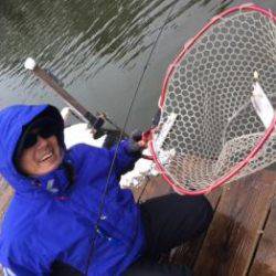 フィッシング サンクチュアリ 釣果