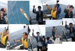 クルーザーフィッシングトムトム 釣果