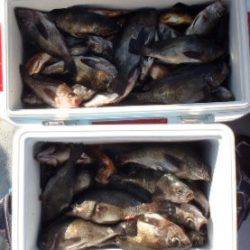 フィッシング　キッタカ 釣果