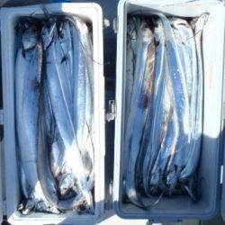 フィッシング キッタカ 釣果