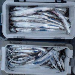 フィッシング キッタカ 釣果