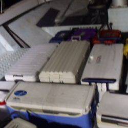 フィッシング キッタカ 釣果