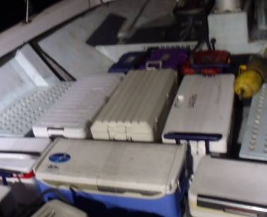 フィッシング キッタカ 釣果