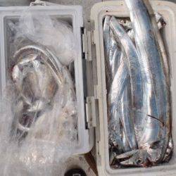 フィッシング キッタカ 釣果