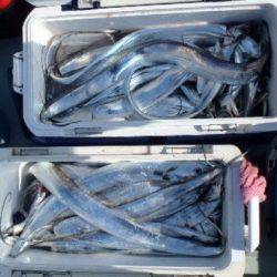 フィッシング　キッタカ 釣果