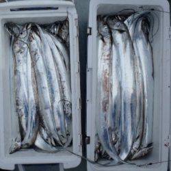 フィッシング キッタカ 釣果