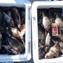 フィッシング　キッタカ 釣果