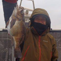 フィッシング キッタカ 釣果