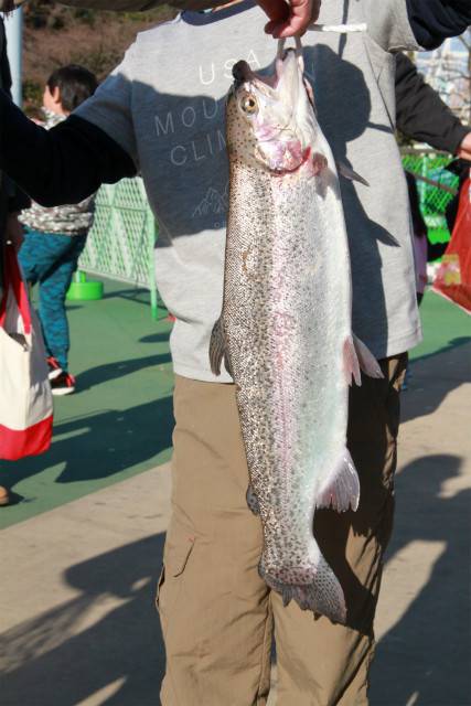 としまえんフィッシングエリア 釣果