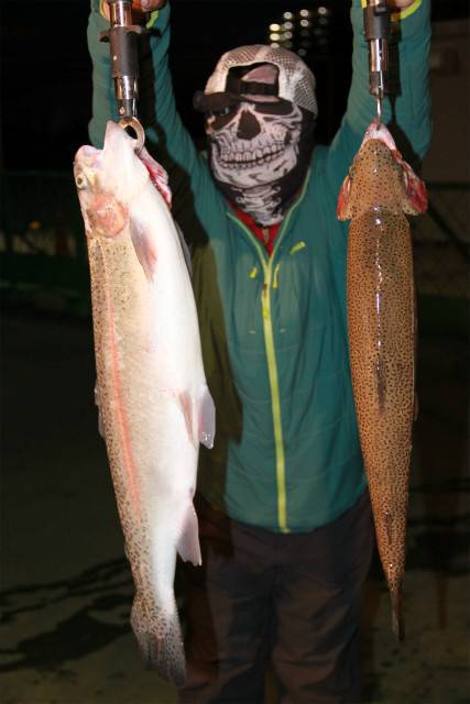 としまえんフィッシングエリア 釣果